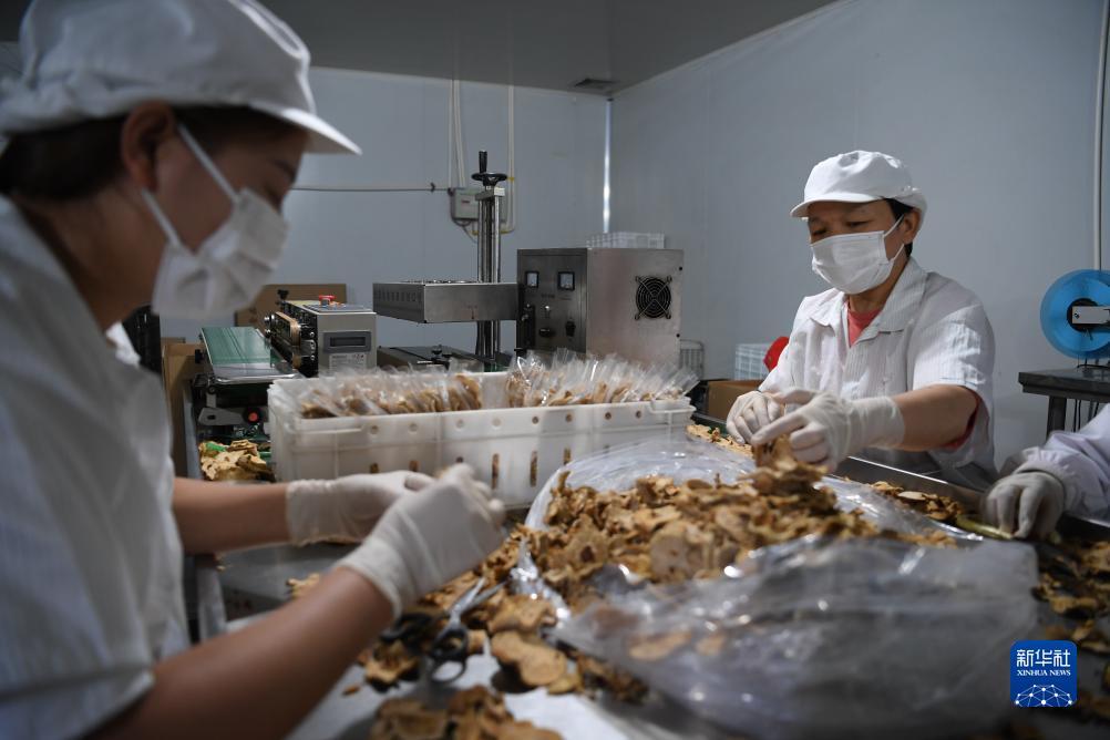网上打摆脱网站